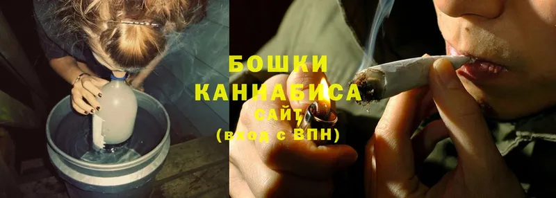 продажа наркотиков  mega ССЫЛКА  Шишки марихуана SATIVA & INDICA  Тарко-Сале 